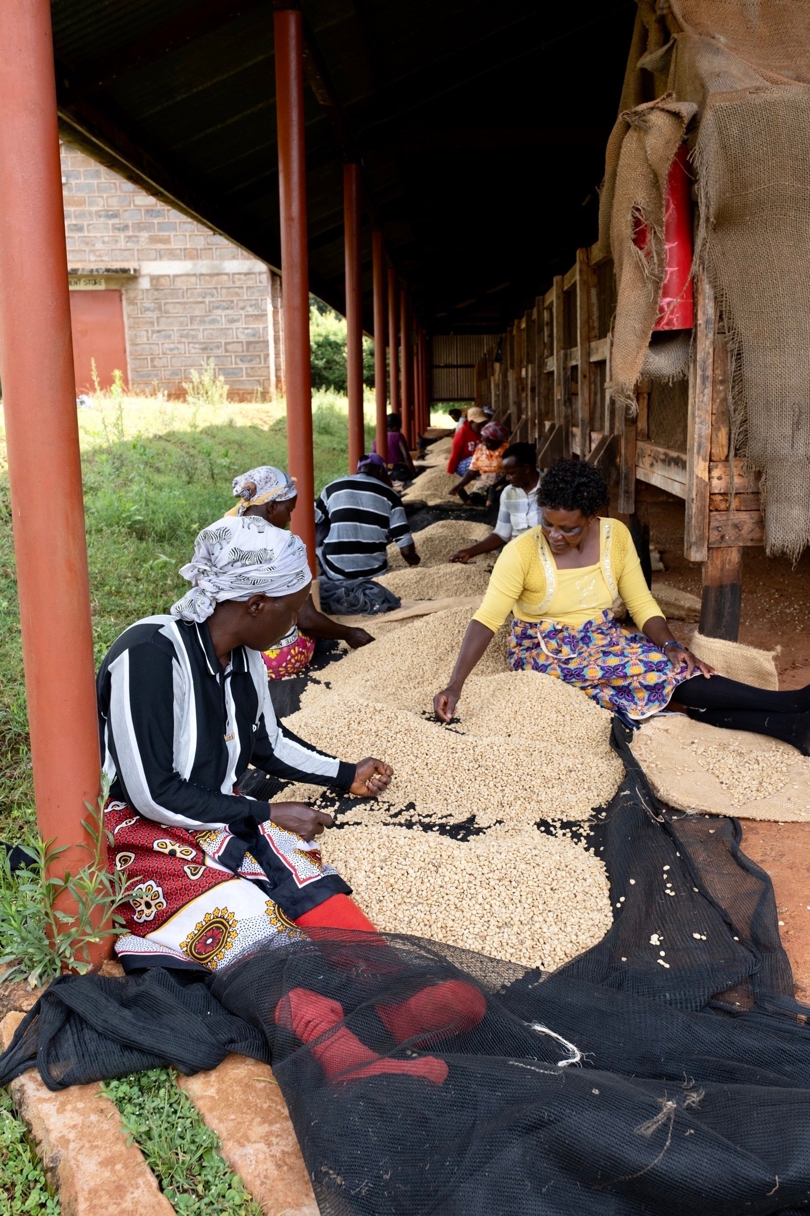 Kenya Nyeri – Gatura AA Fully Washed
