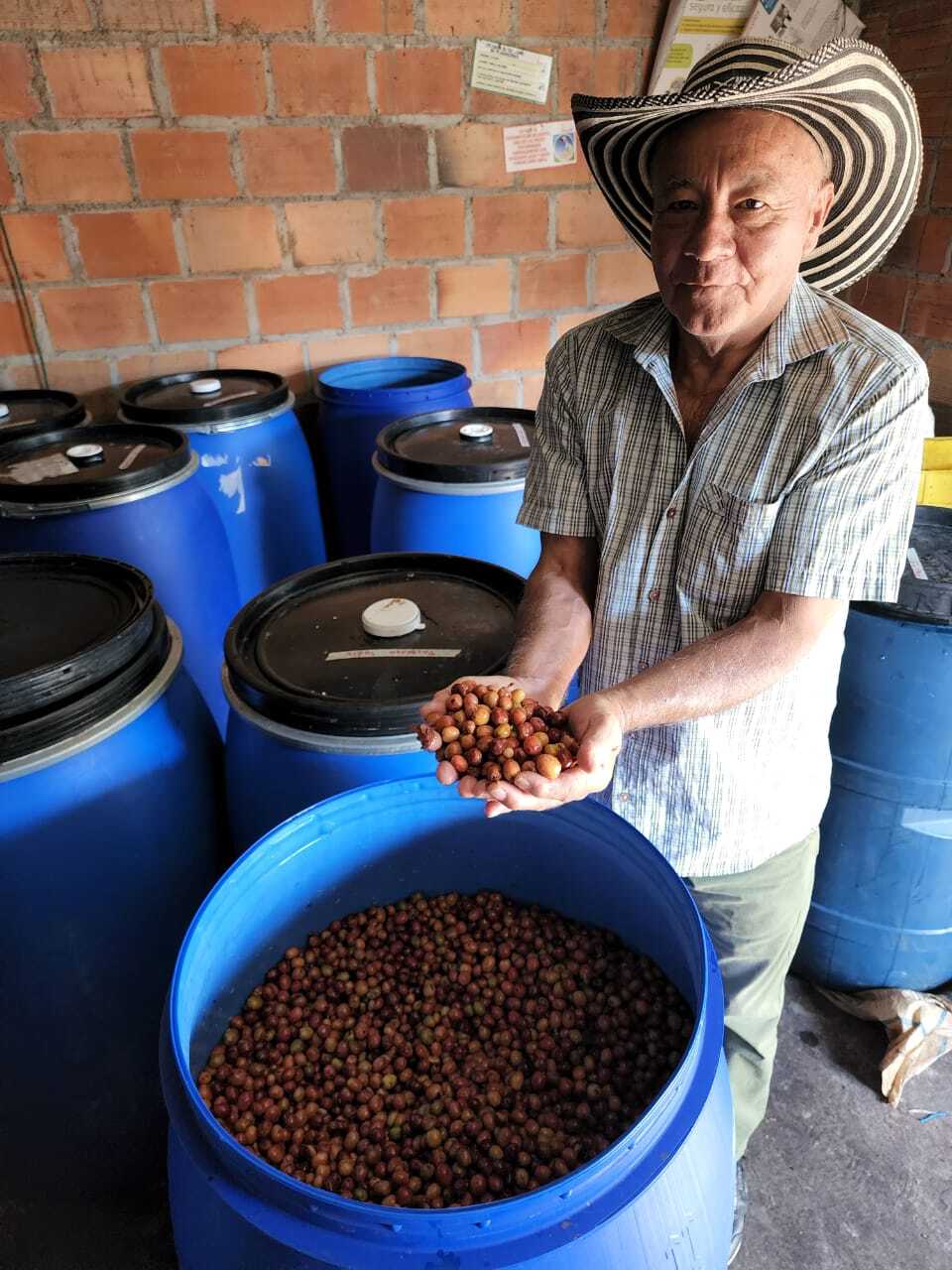 Box  Degustazione 4 Microlotti Specialty