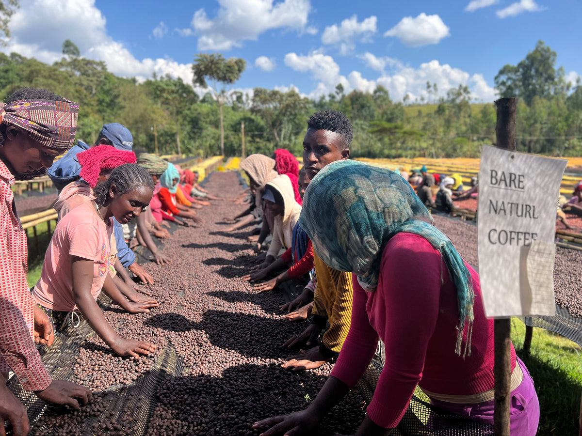 Etiopia Sidama Bura – Natural – Espresso
