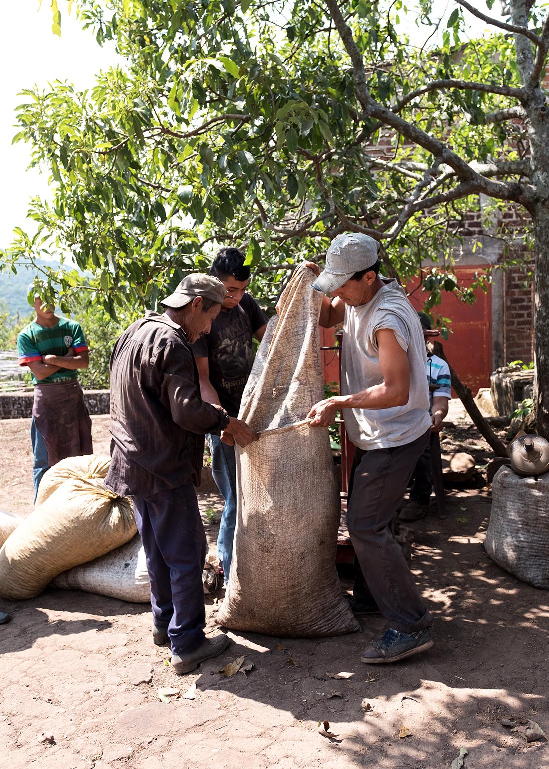 El Salvador – La Dalia Pacamara Anaerobic 120h