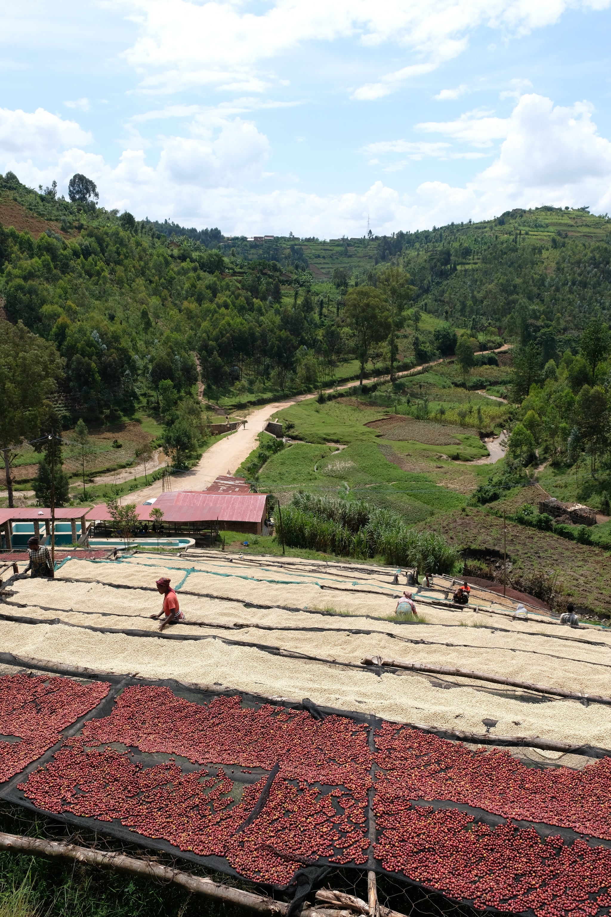 Rwanda – Busanze Ikawa House Washed