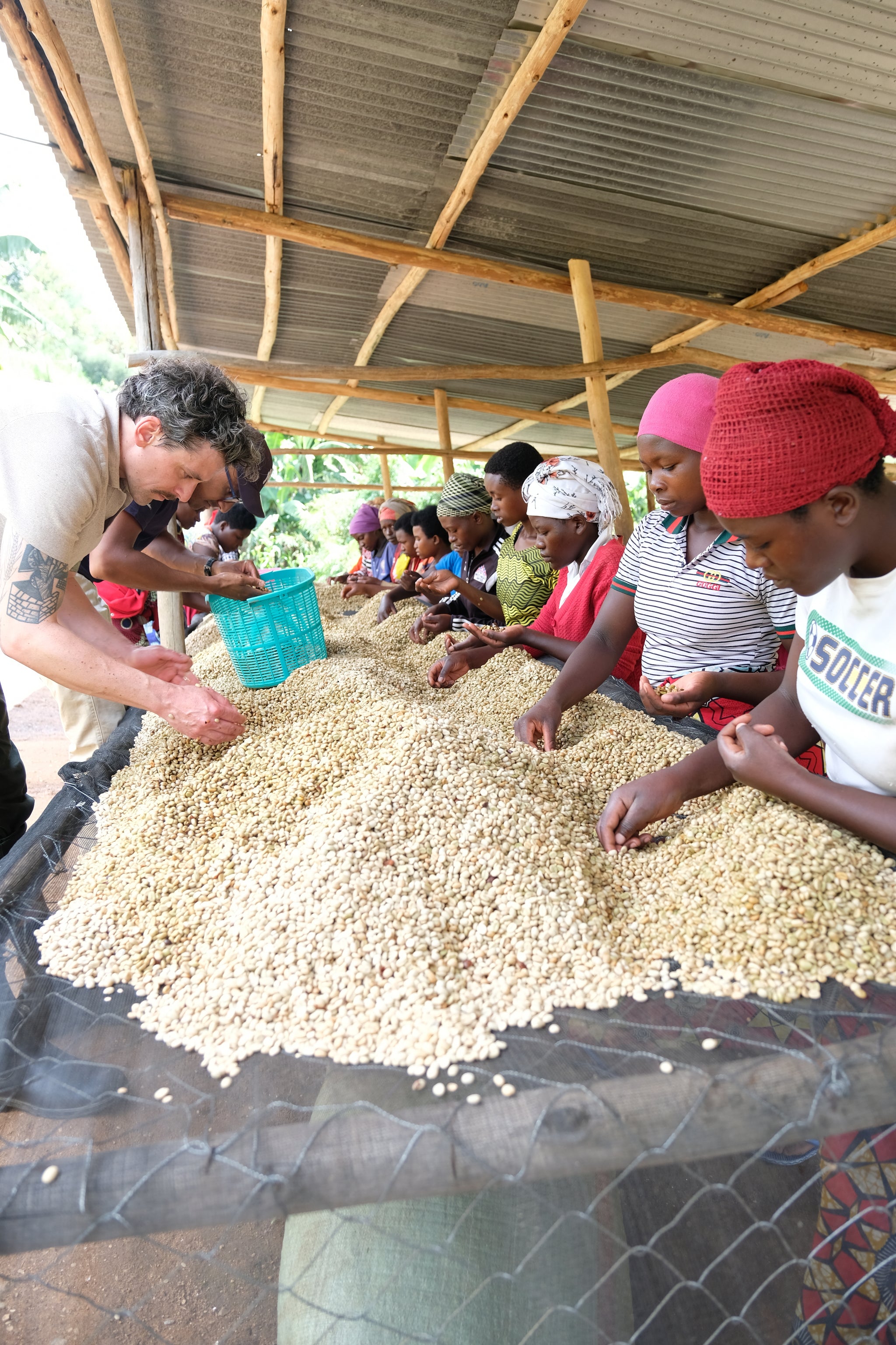 Rwanda Nyabihu – Shyira Red Bourbon Washed