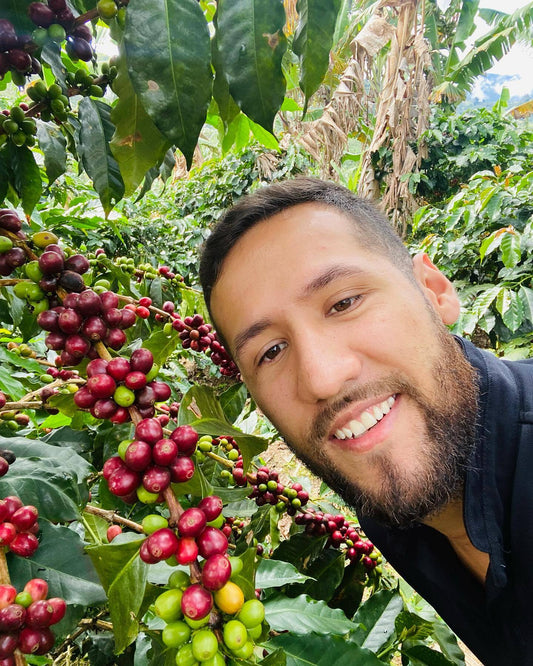 Colombia Cuatro Vientos Pink Bourbon natural