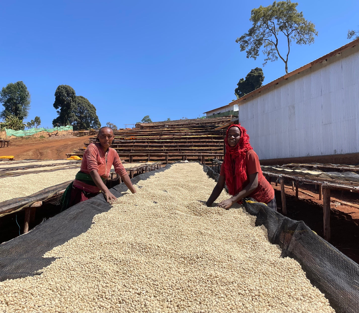 Ethiopia Bishan Wate naturale