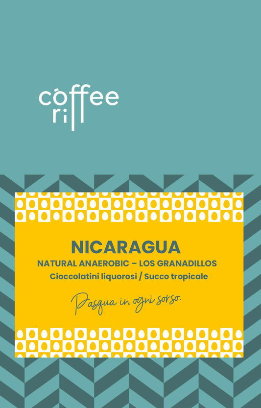 Nicaragua Natural Anaerobic Parainema  Los Granadillos