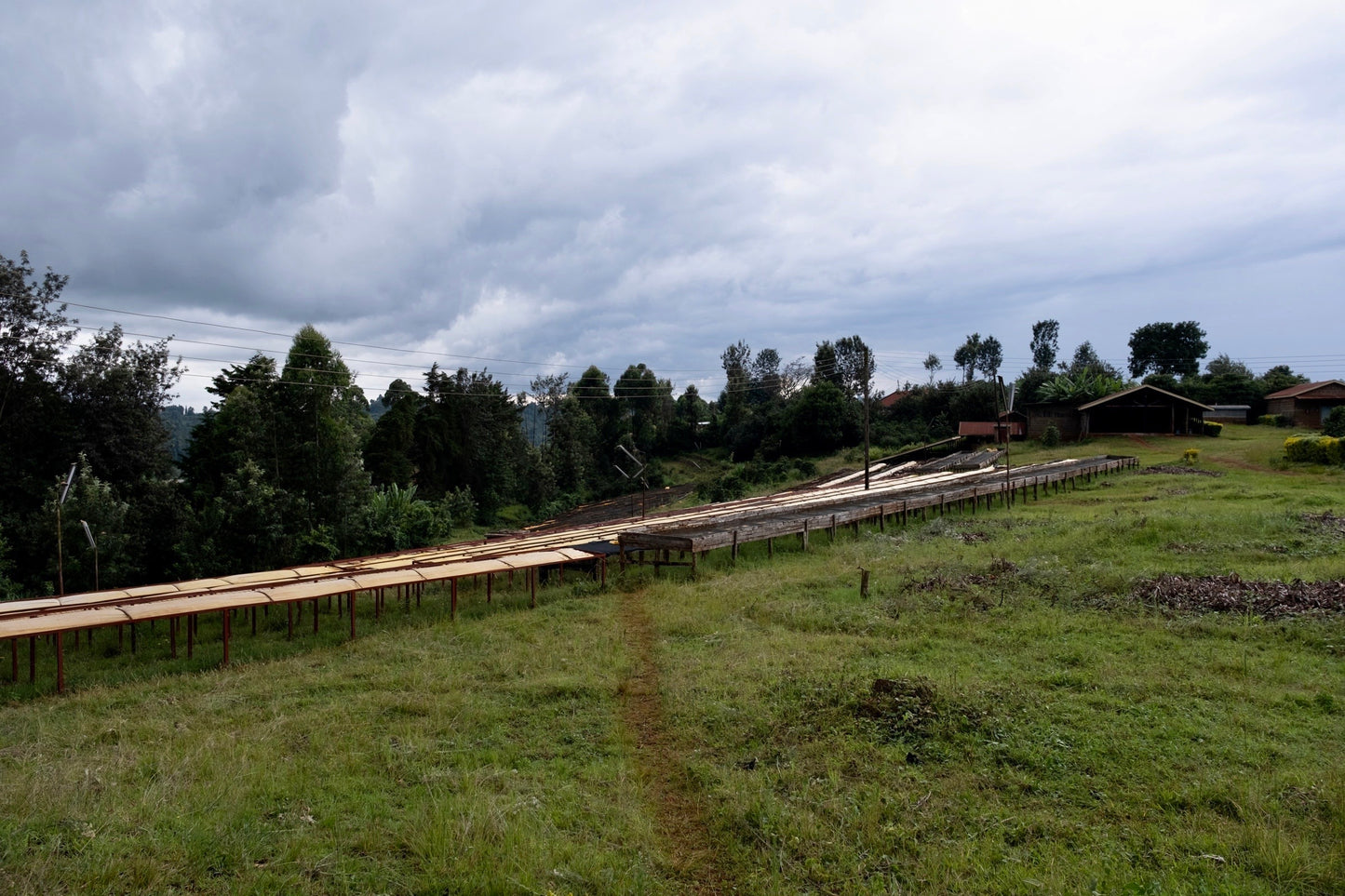 Kenya Nyeri – Gatura AA Fully Washed
