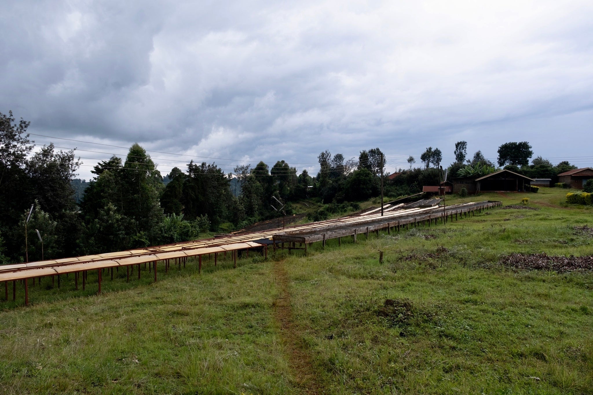 Kenya Nyeri – Gatura AA Fully Washed