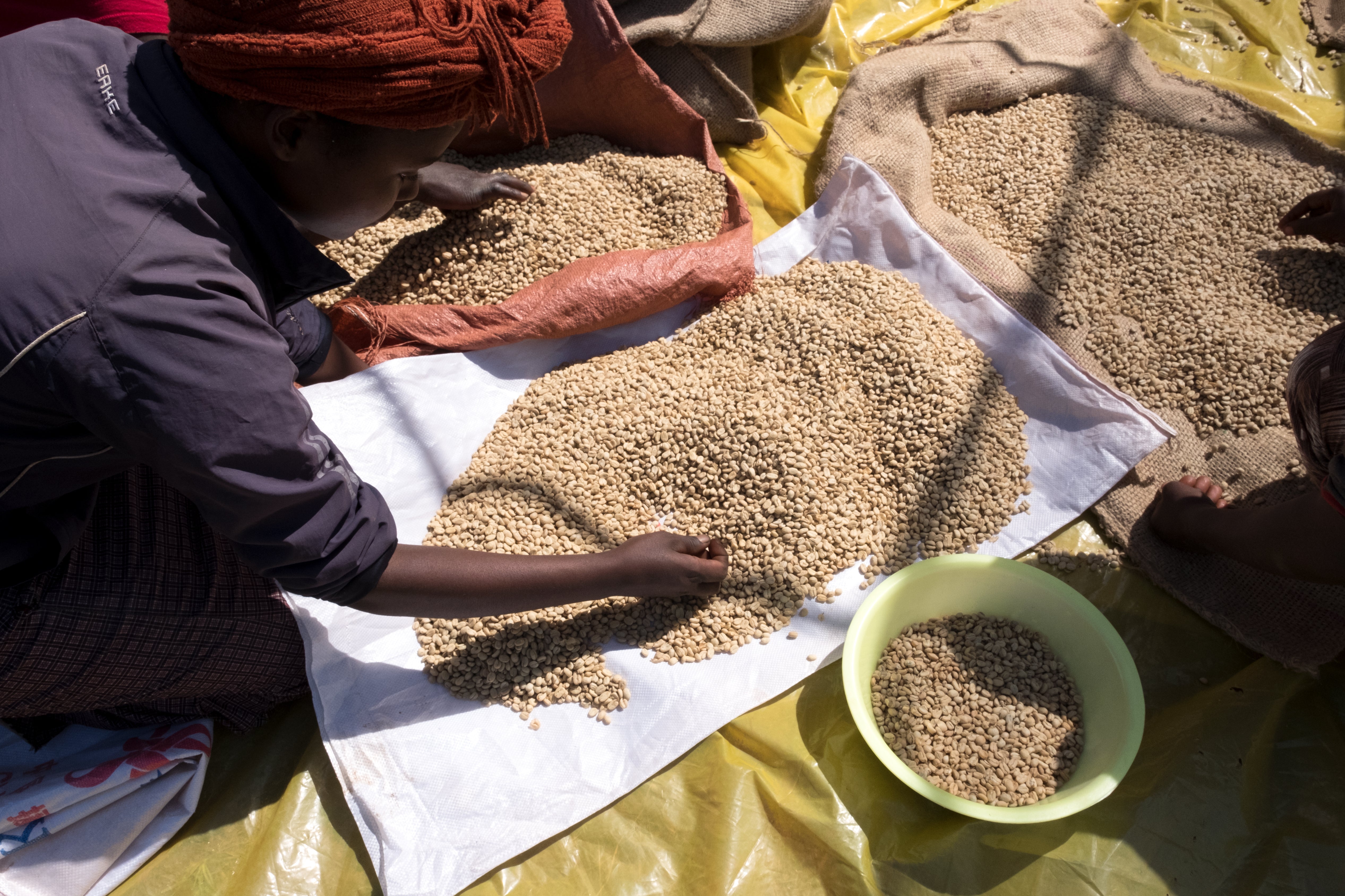 Kenya Nyeri – Gatura AA Fully Washed