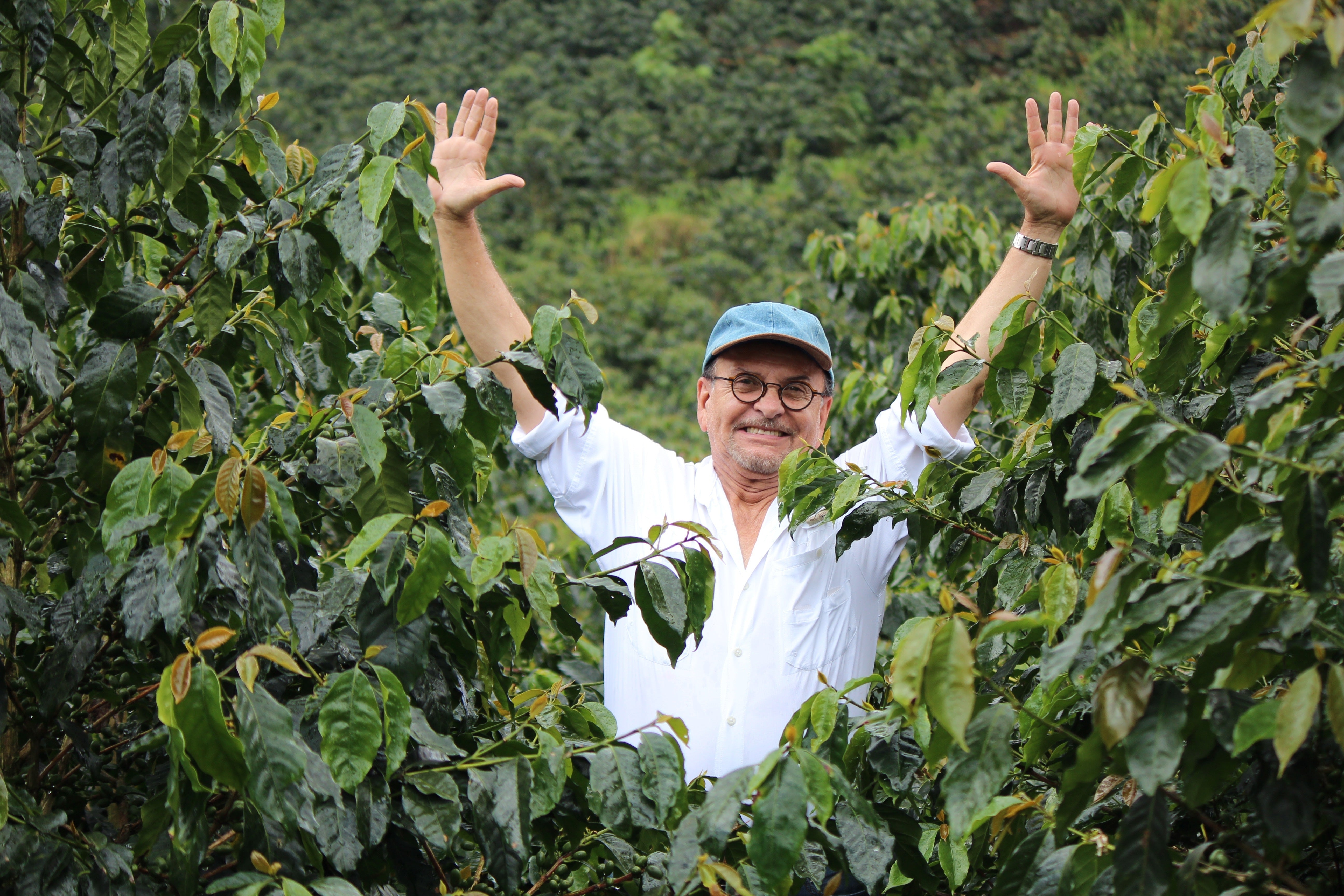 Nicaragua Fincas Mierisch — Los Placeres