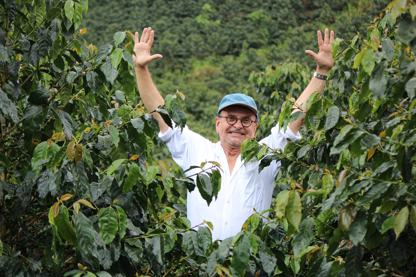 Nicaragua Fincas Mierisch — Los Placeres