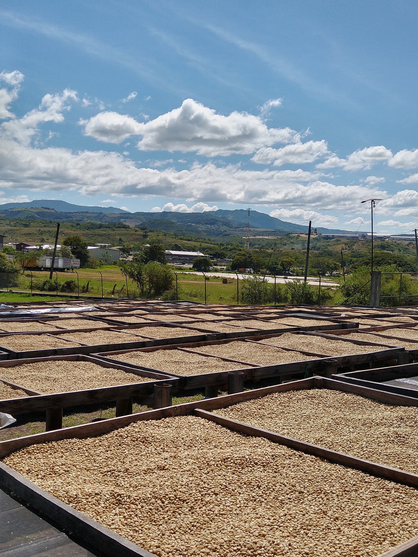 Nicaragua Fincas Mierisch — Los Placeres